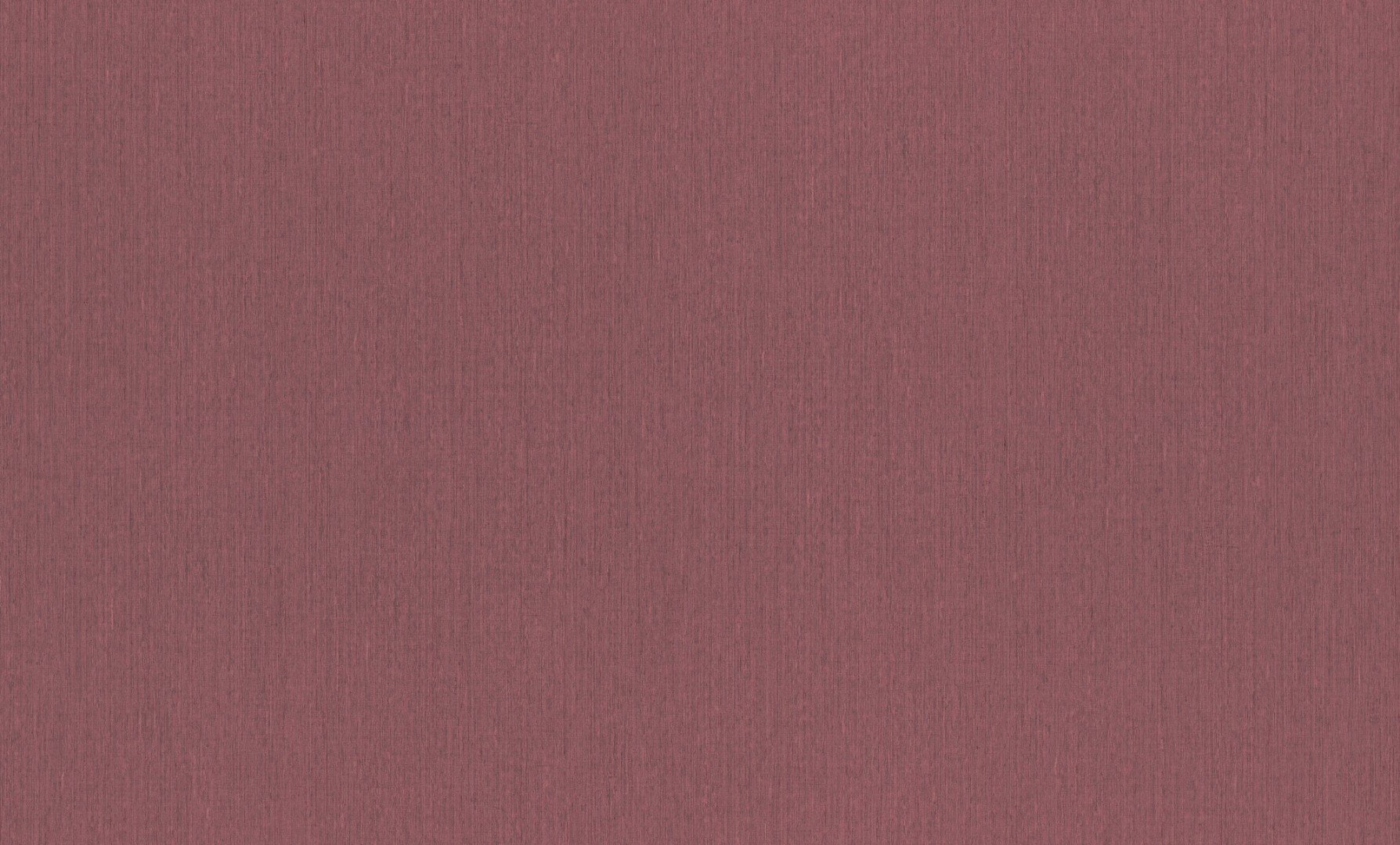 800579 800579