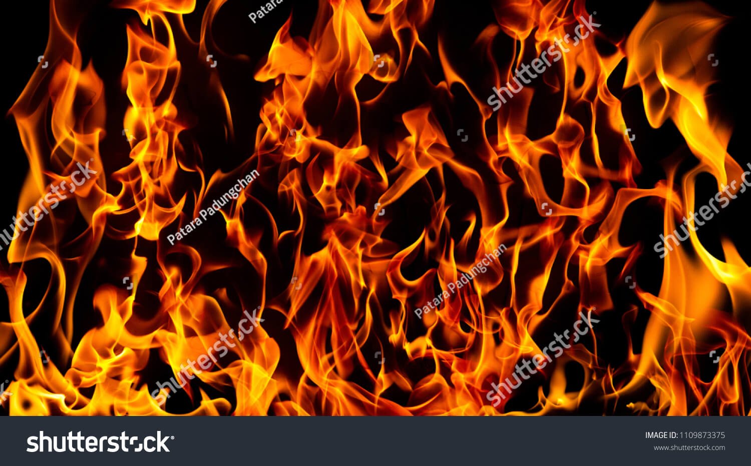 11351