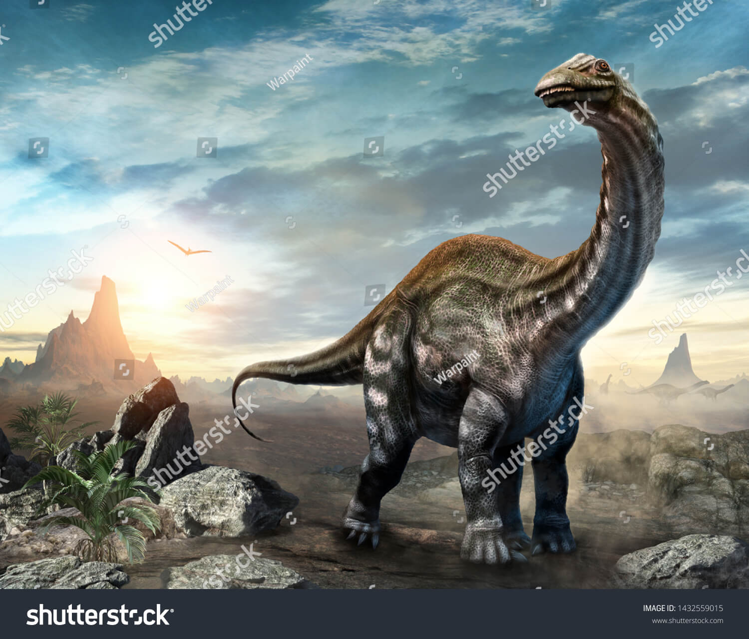11429