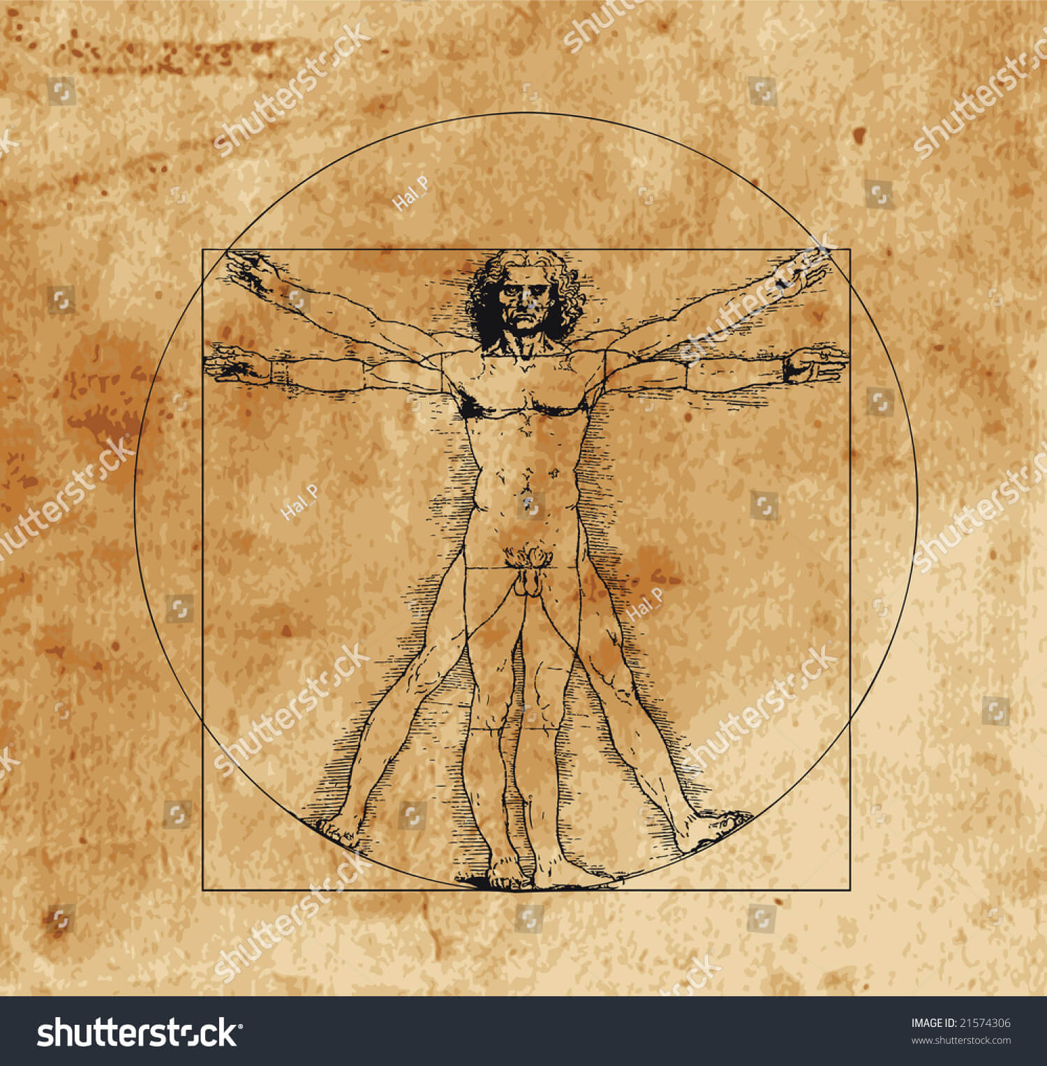 11463