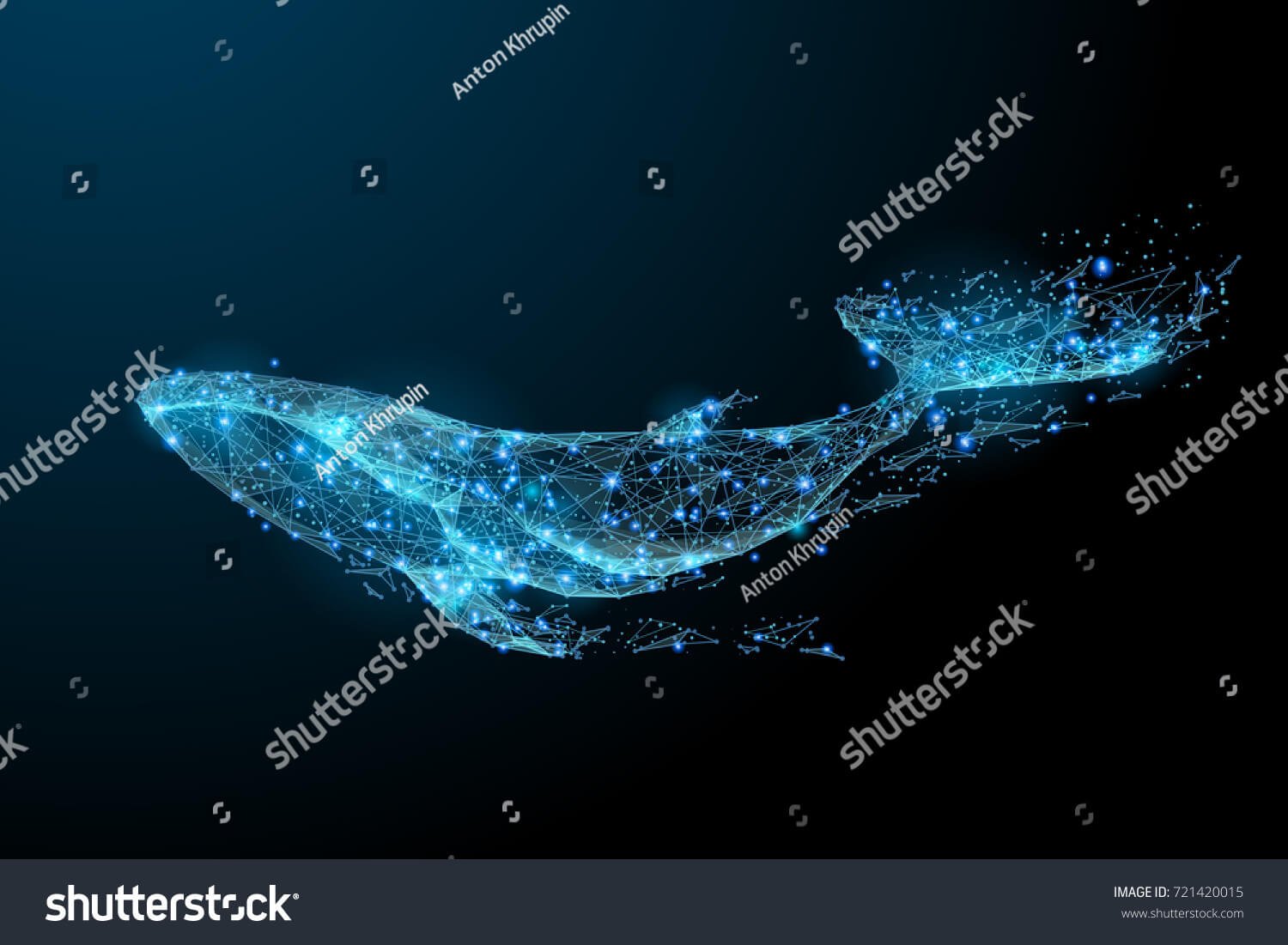 0068 0068