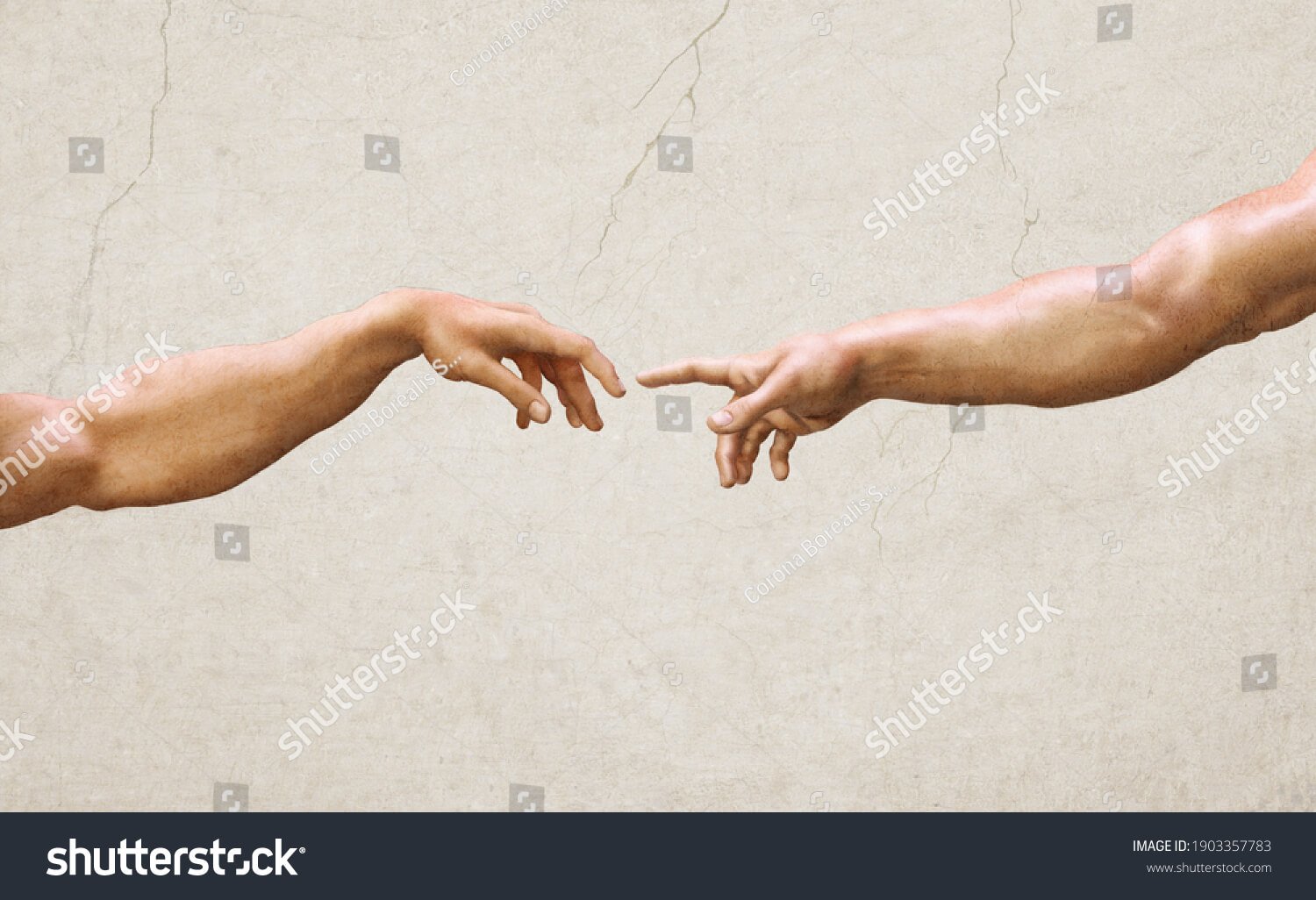 2957 2957