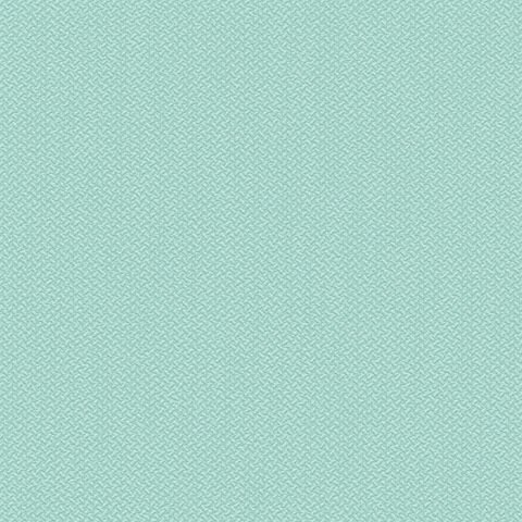 54335-19