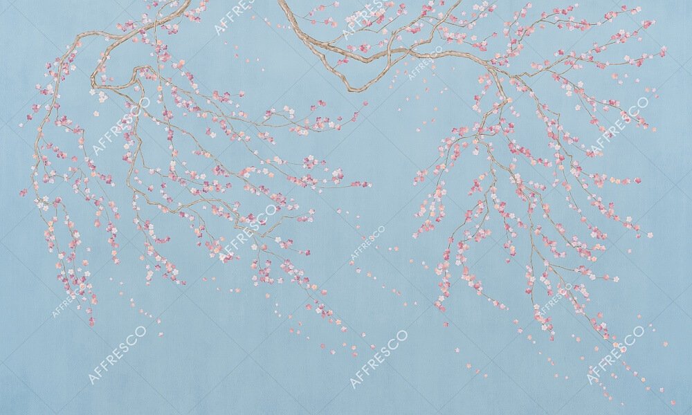 AF503-COL3