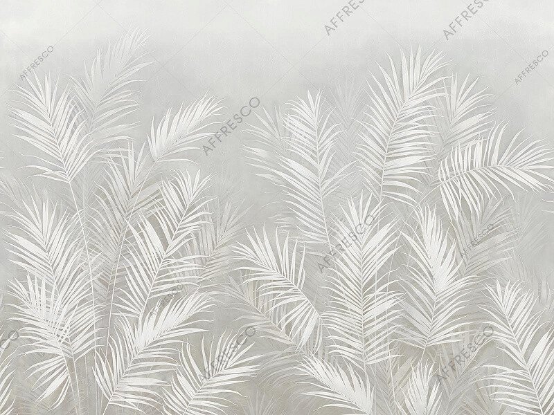 AF2114-COL4