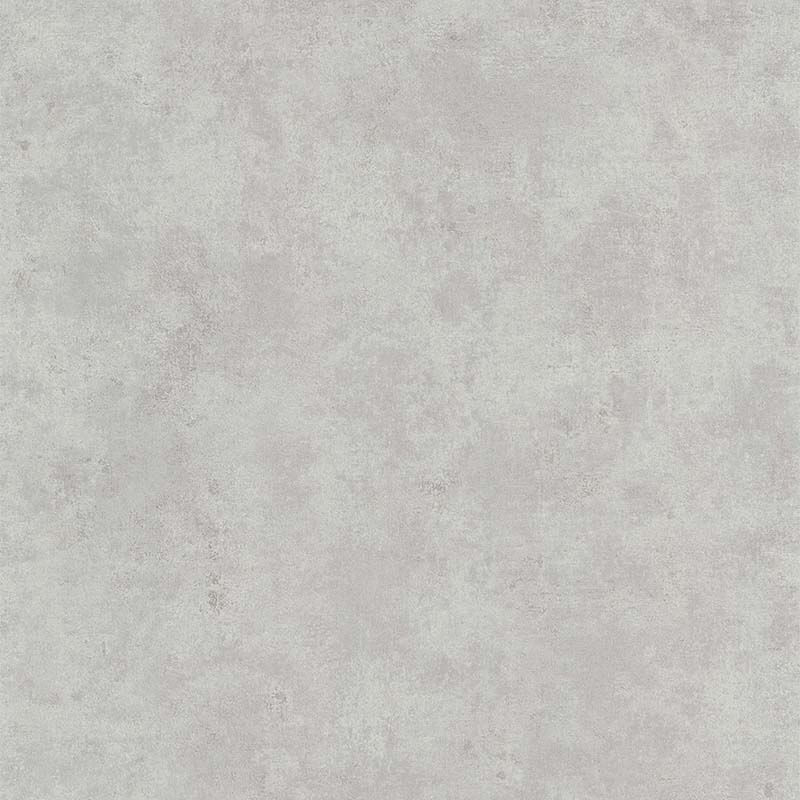 51192819 51192819