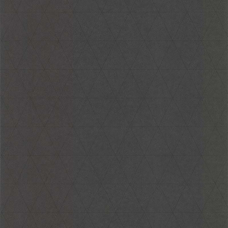 51192919