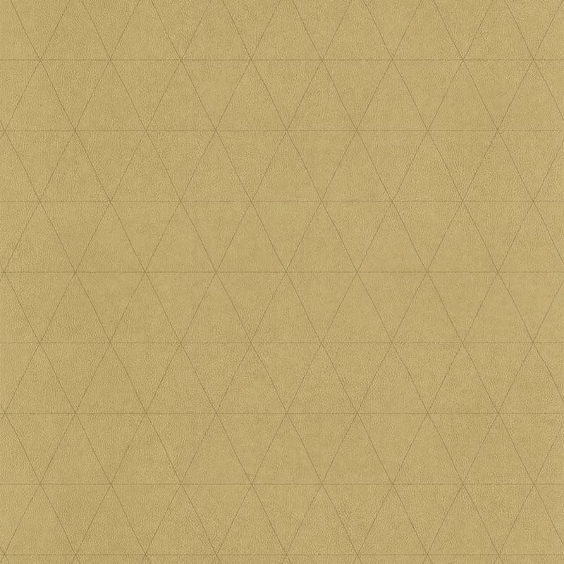 51192902