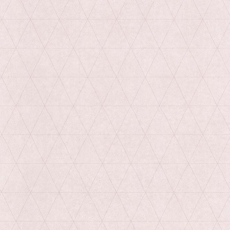 51192903