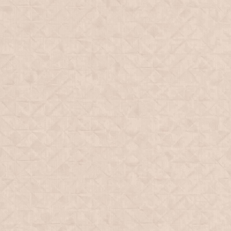 51194203