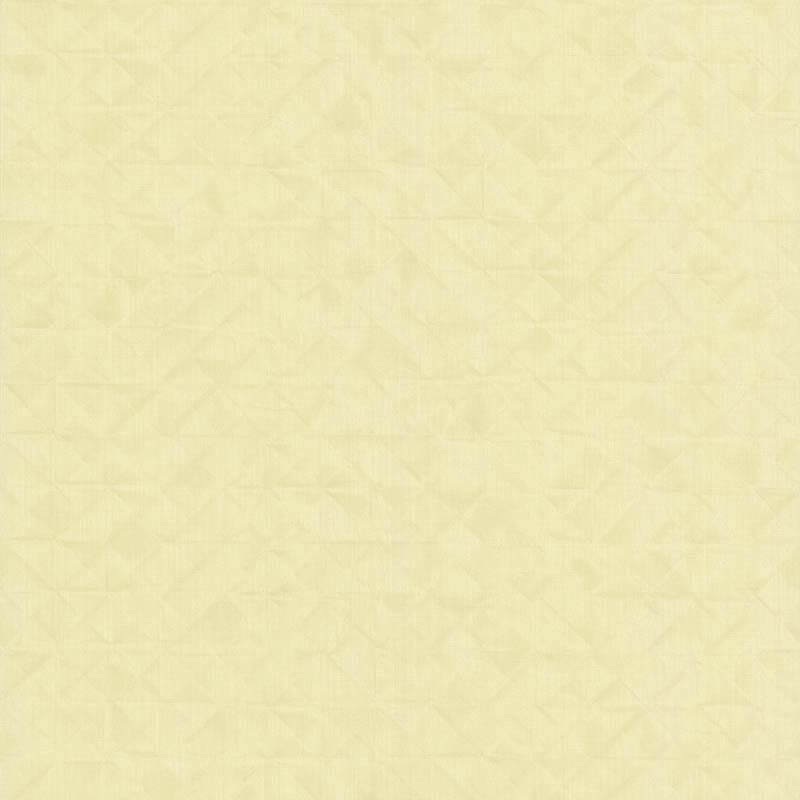 51194202