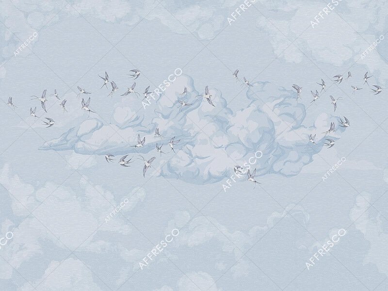 AF2198-COL5