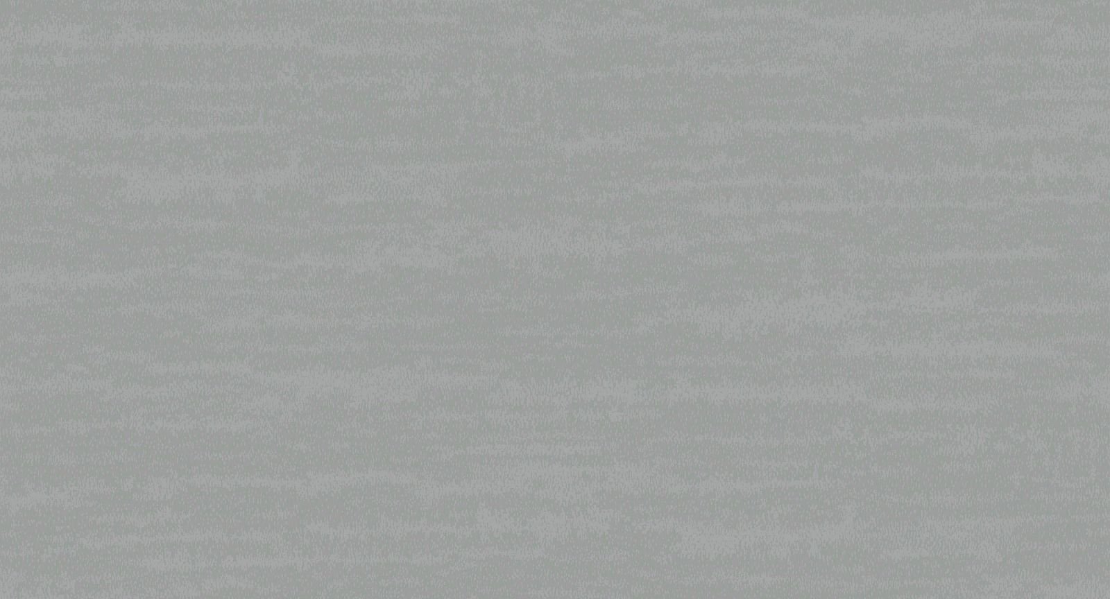 INS8 008