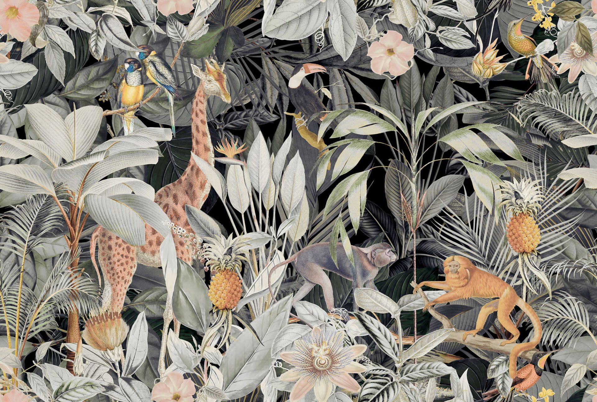 DD119729/DD119730/DD119731/DD119732 (ARTist) DD119729/DD119730/DD119731/DD119732 (ARTist)