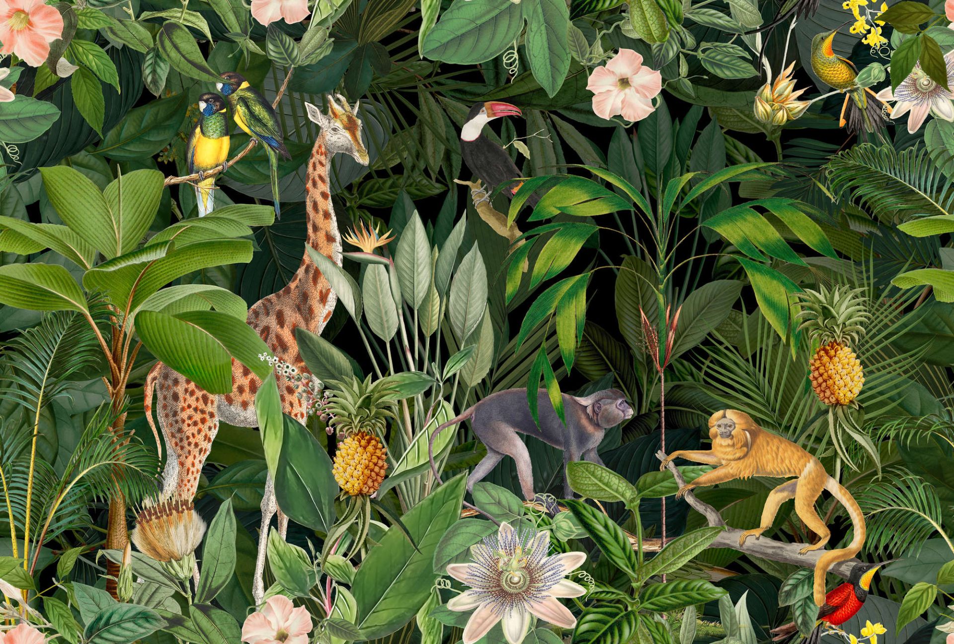 DD119733/DD119734/DD119735/DD119736 (ARTist) DD119733/DD119734/DD119735/DD119736 (ARTist)