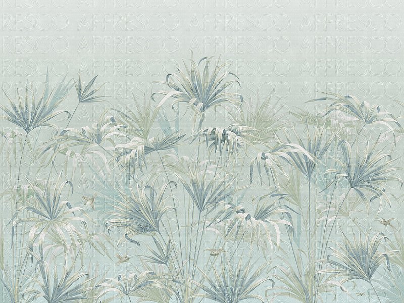 AF2081-COL8
