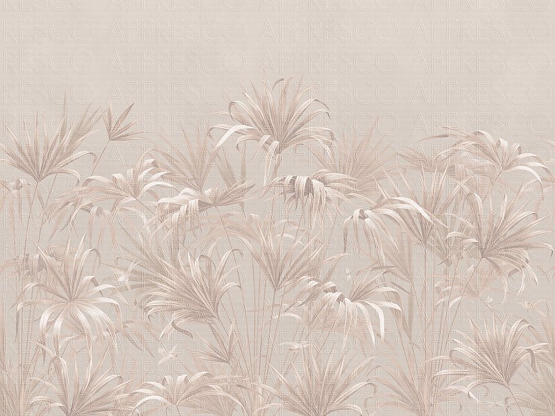 AF2081-COL10