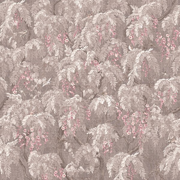 AF2086-COL5