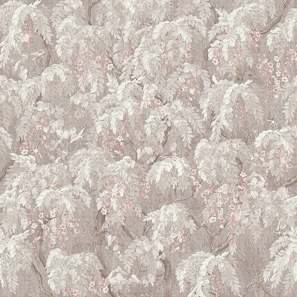 AF2086-COL6