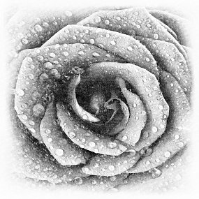 ID136153 ID136153