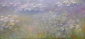 Водяные лилии, кувшинки 1 Водяные лилии, кувшинки 1
