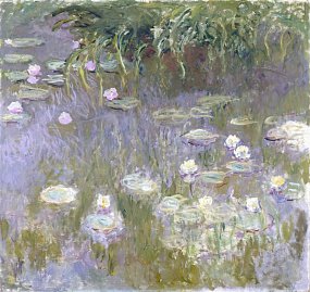 Водяные лилии, кувшинки 4 Водяные лилии, кувшинки 4