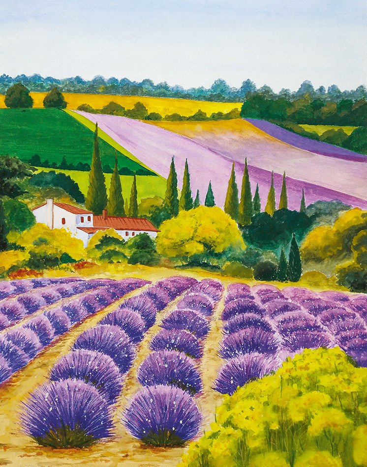 35642 (Gloockler Pompoos Provence)