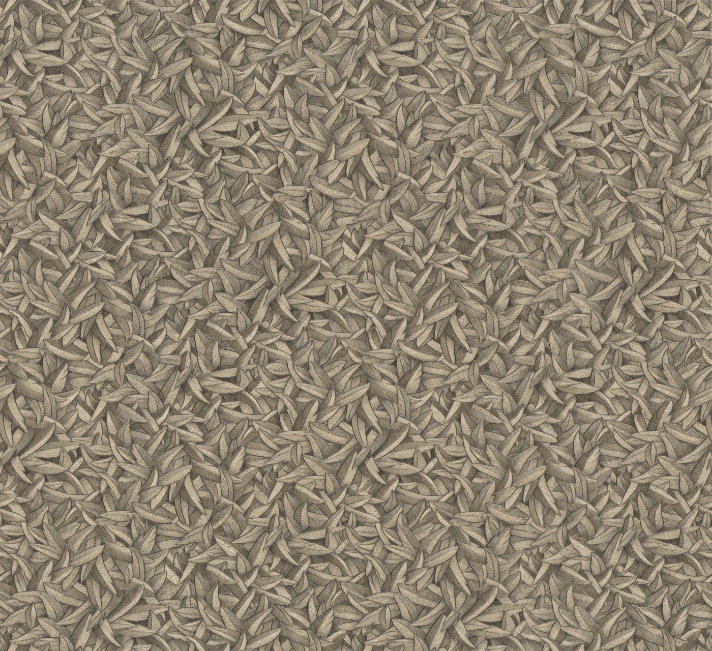 52504
