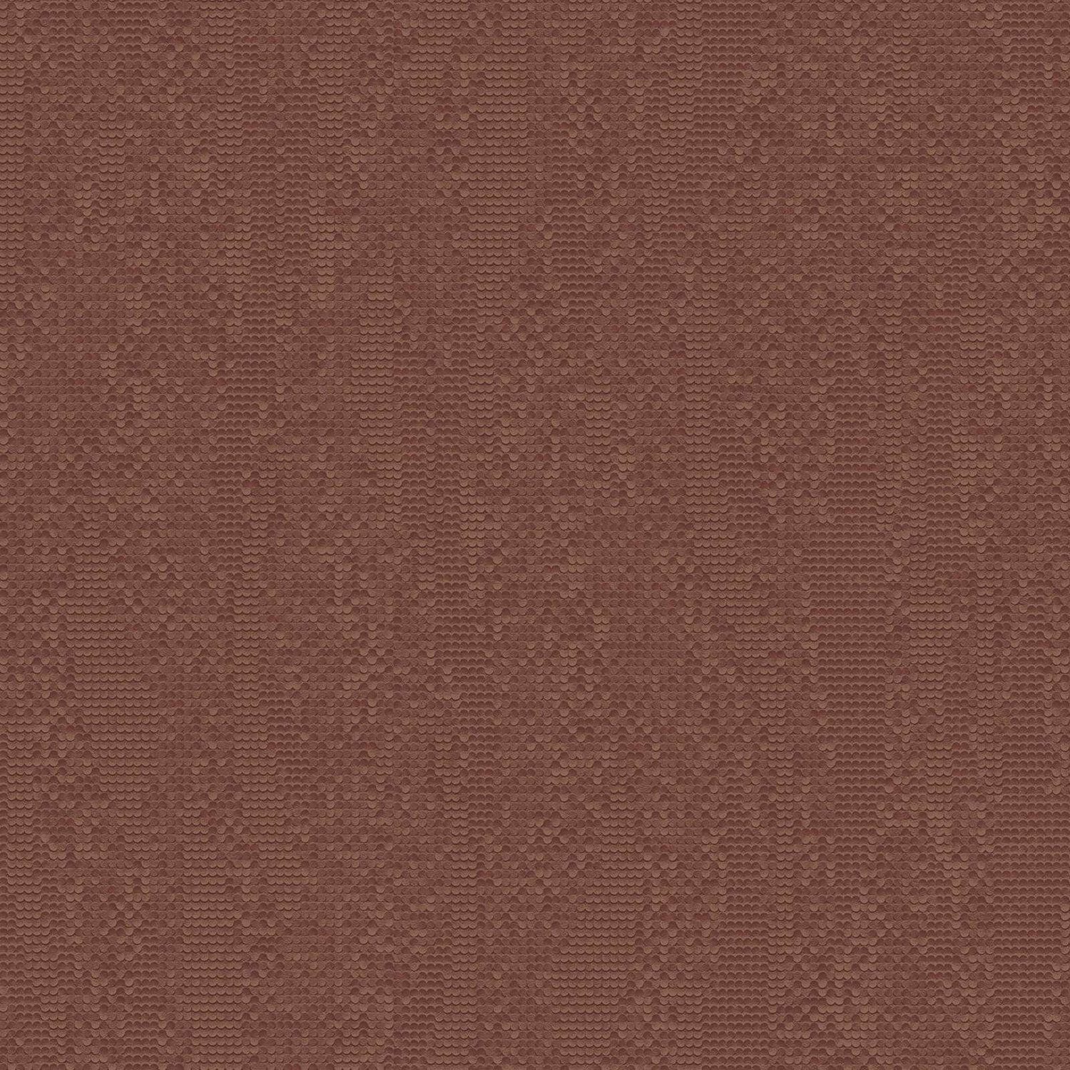 Z54527