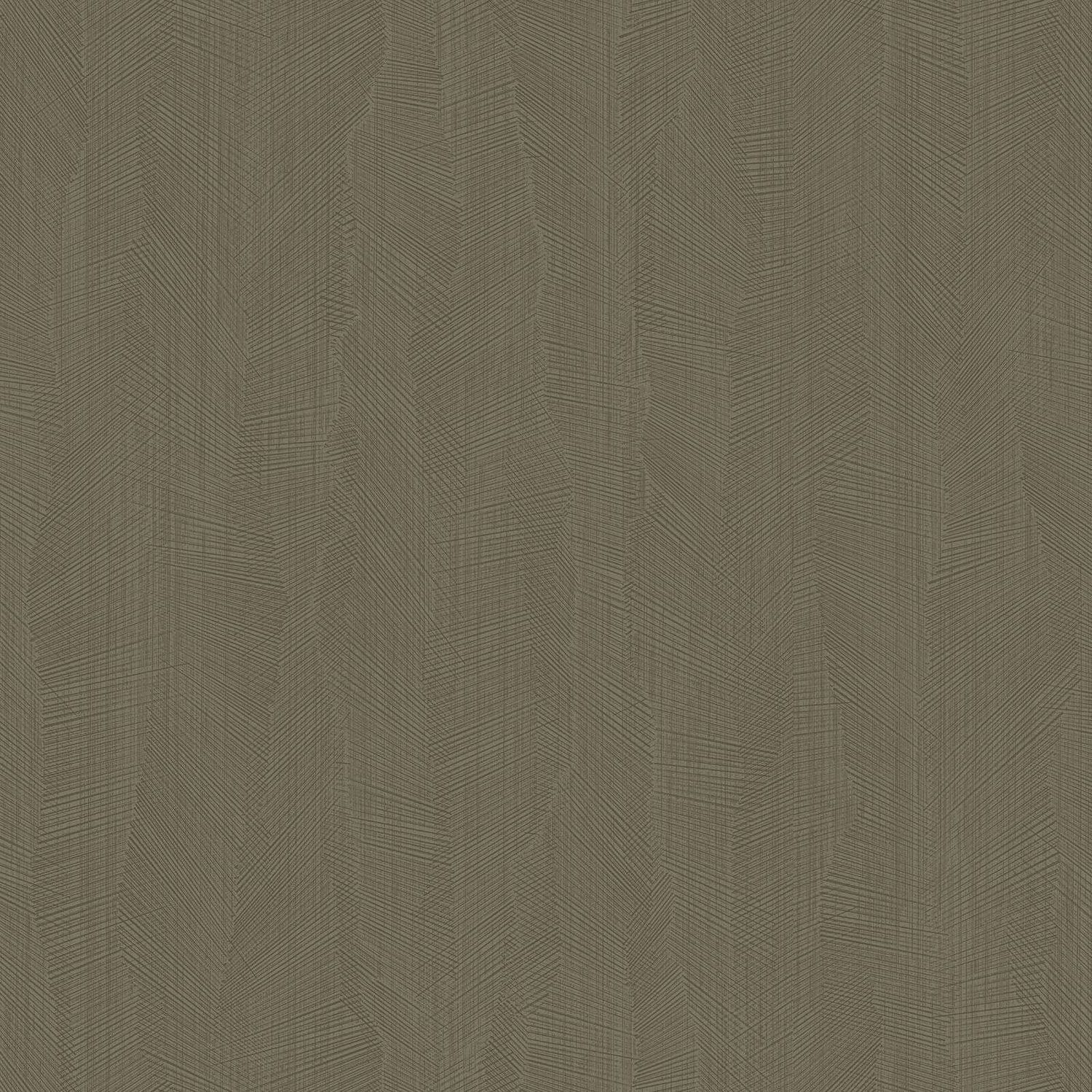 Z54544