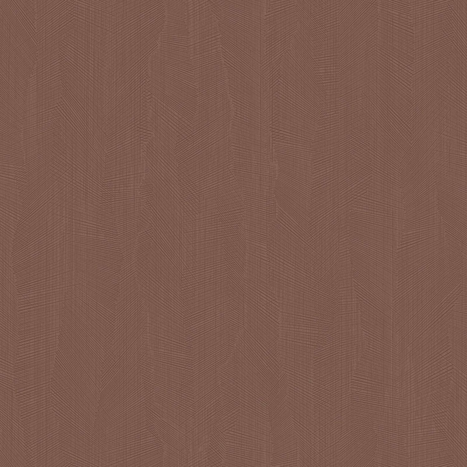 Z54545