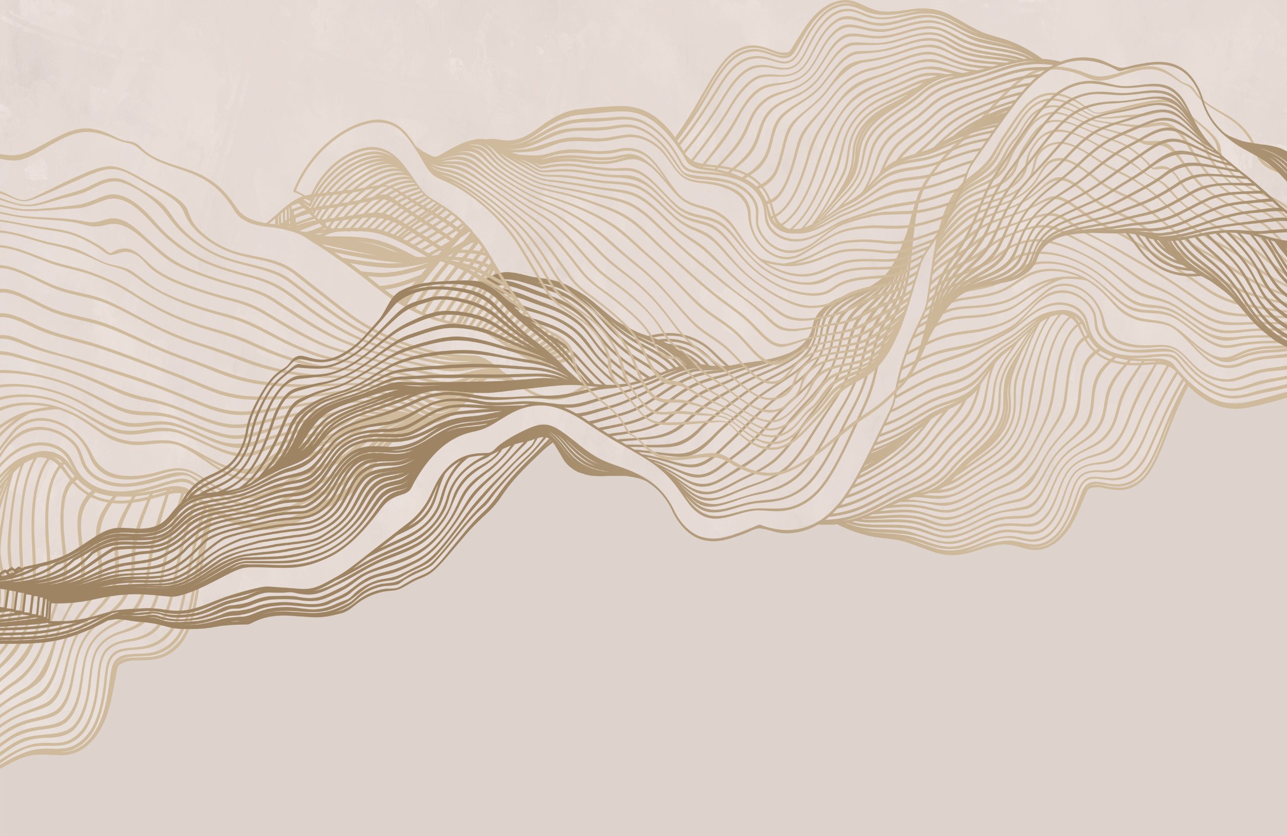 00296 s 00296 s