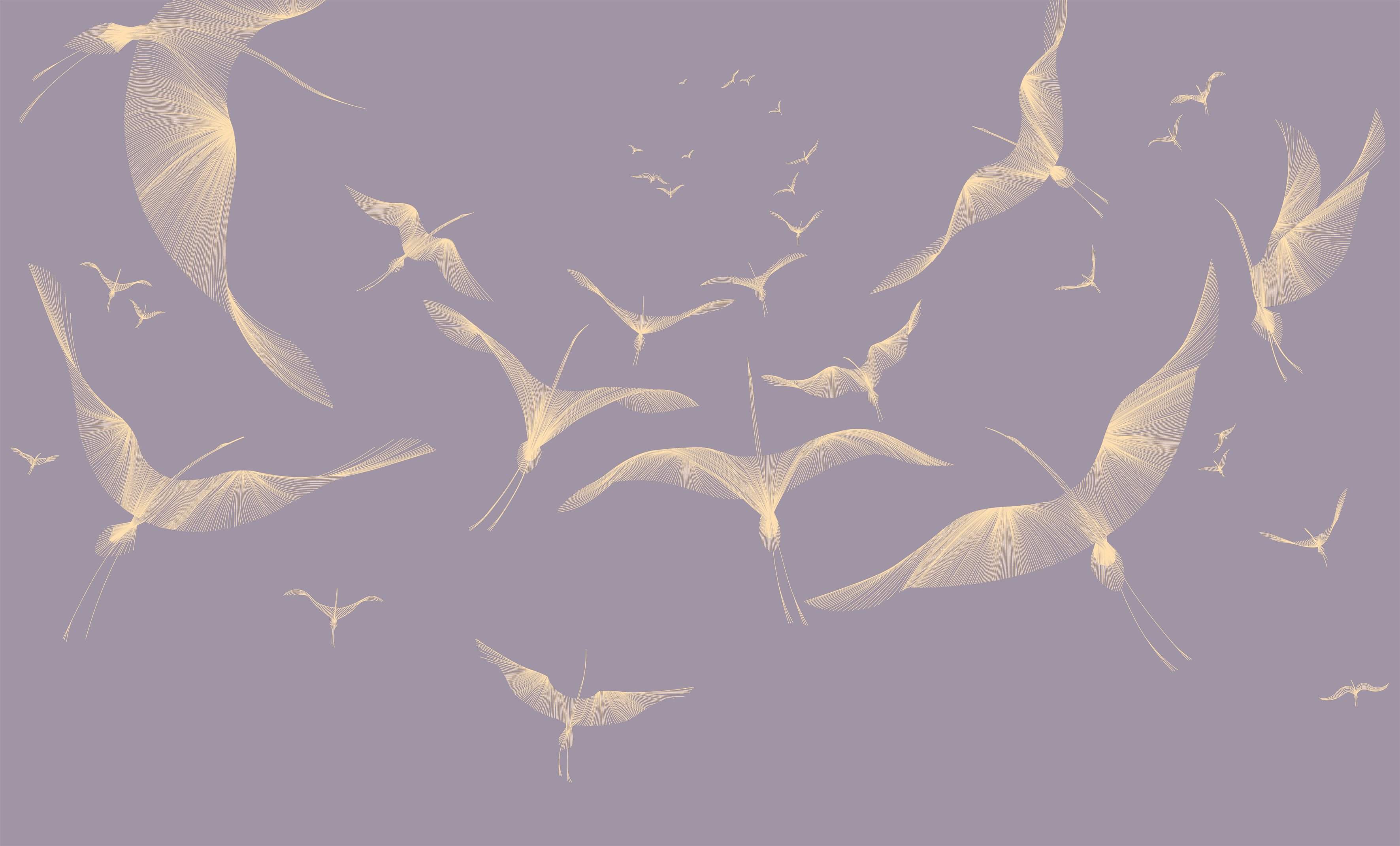 00402 s 00402 s