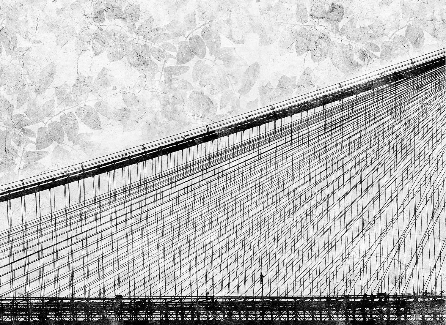 18525_18526 (Urban)