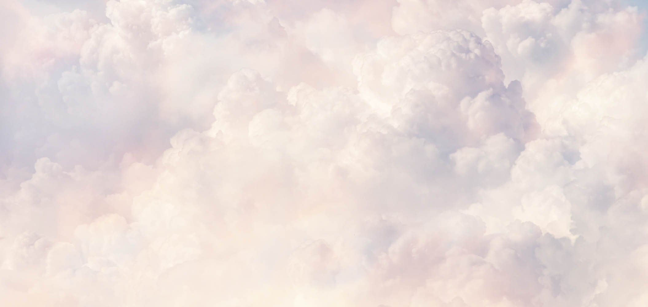 21180 (Euphoria-2019)