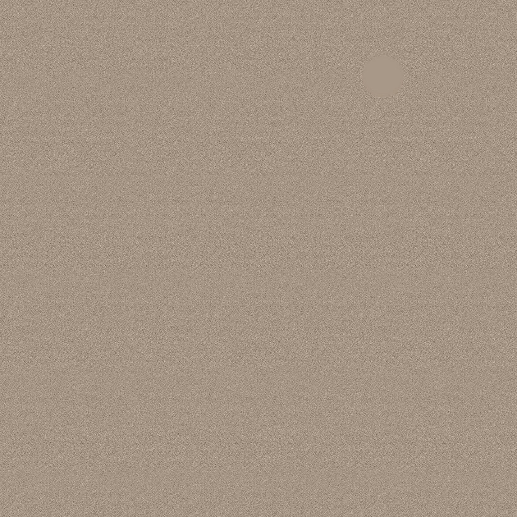 ARV029