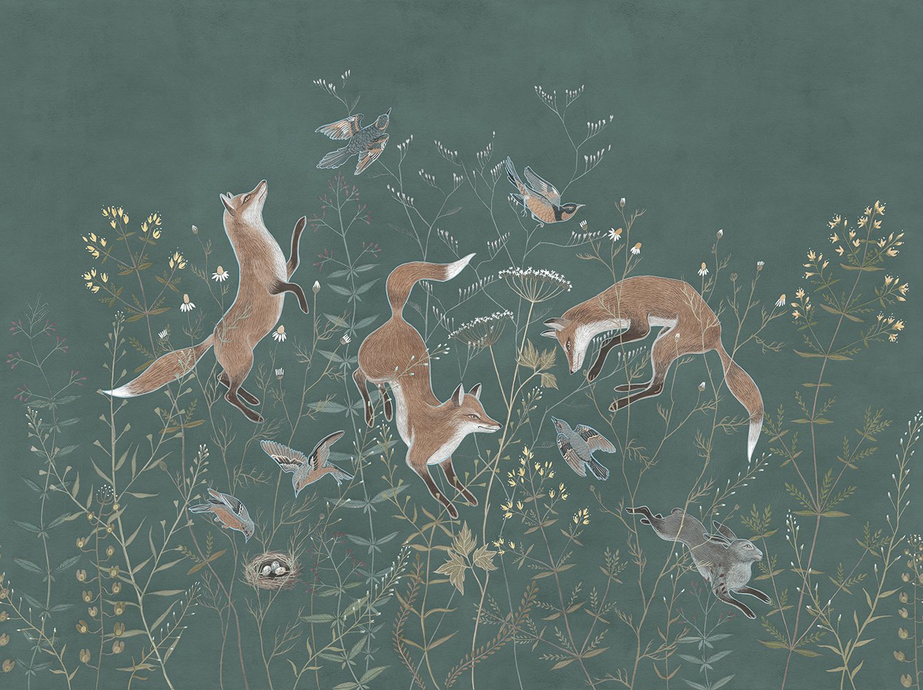 Foxy 6