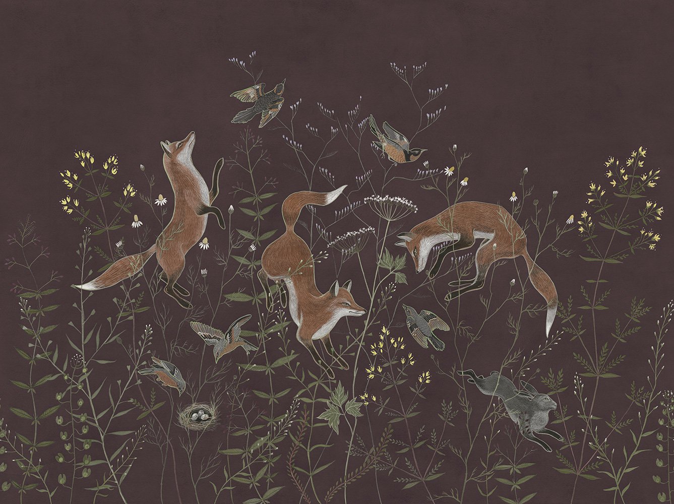 Foxy 7
