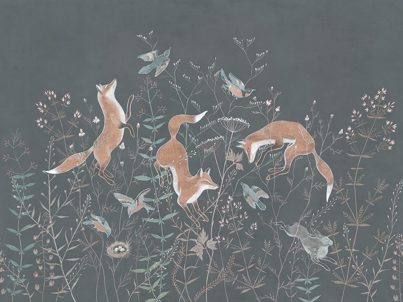 Foxy 8