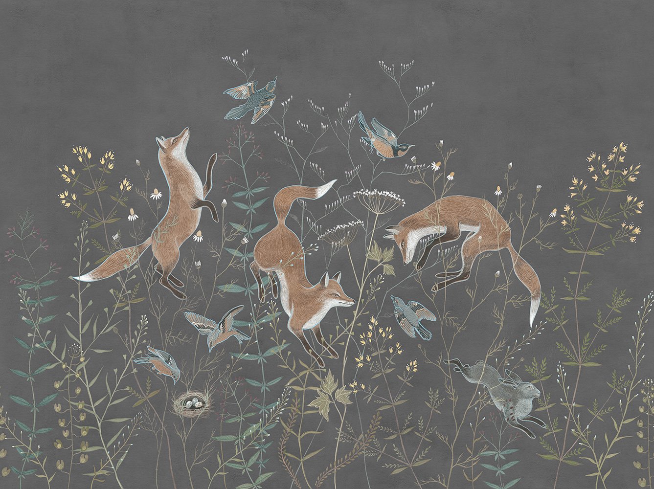 Foxy 9