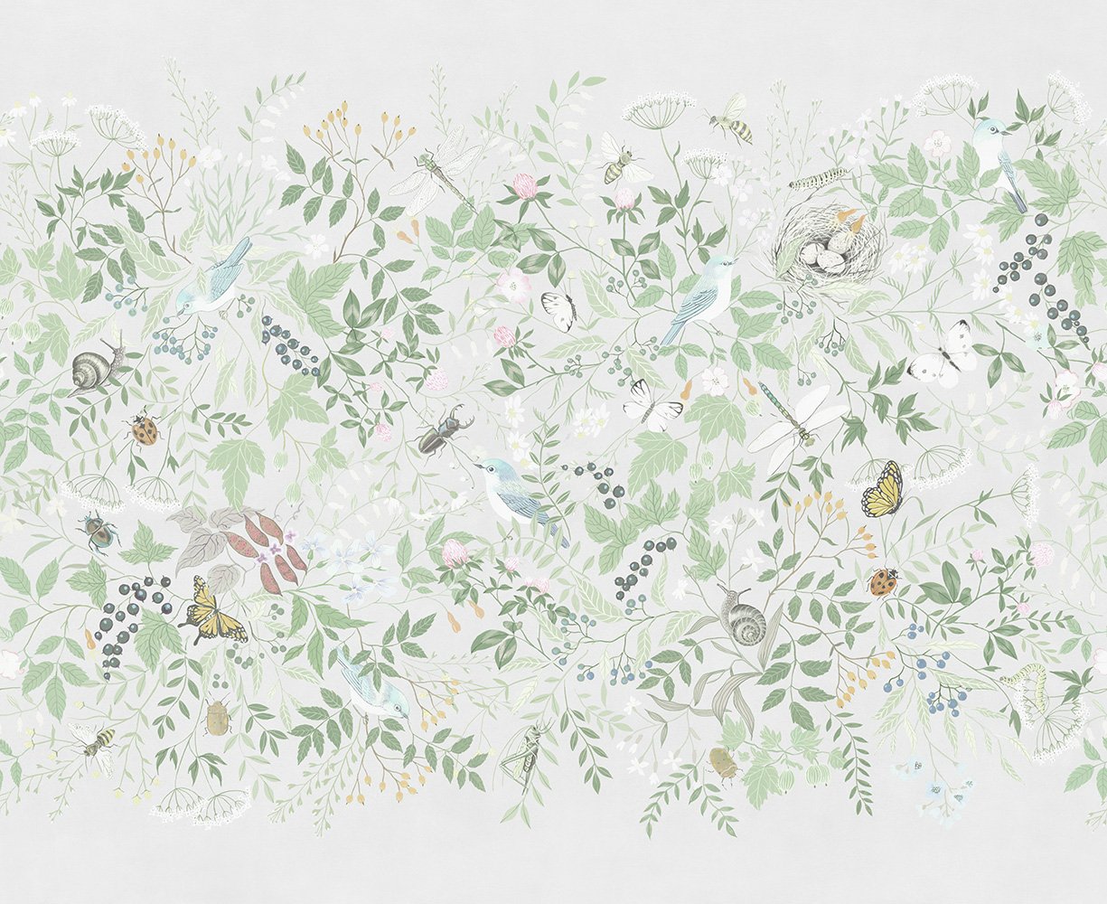 Clover 1