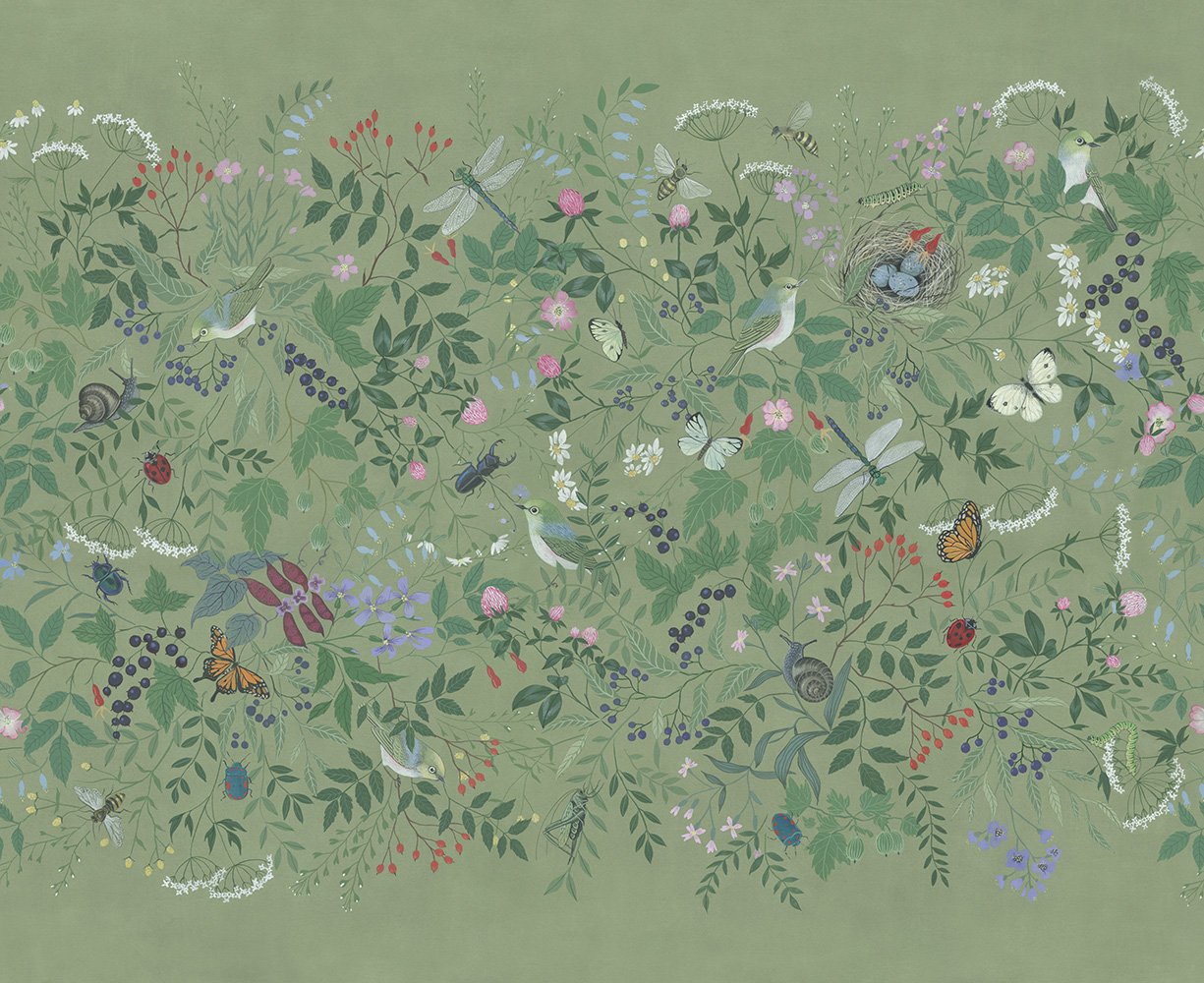 Clover 5