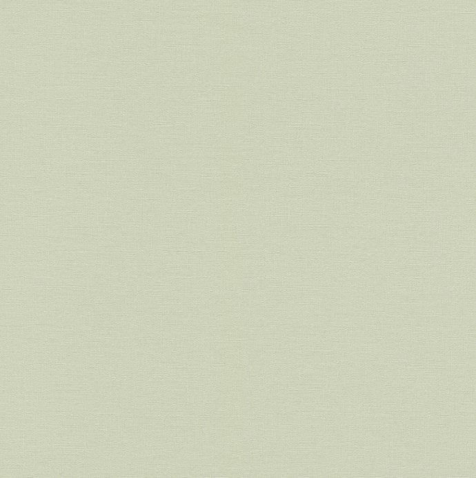 Rasch 517040