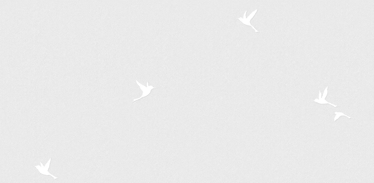 Обои 54458-6 на сайте OboiVkus.by