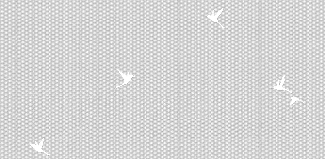 Обои 54458-8 на сайте OboiVkus.by