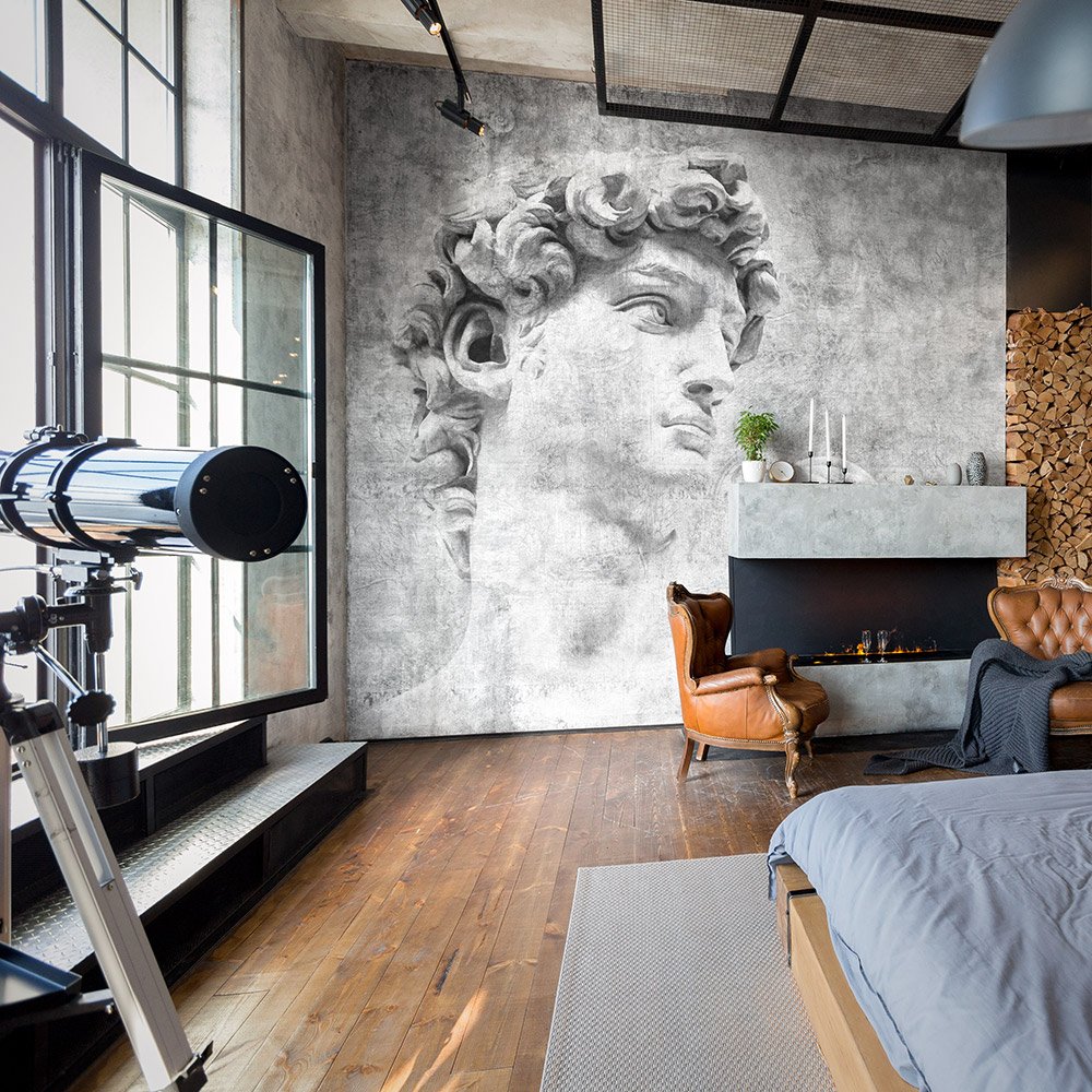 Фотообои и панно David 1_1 на сайте OboiVkus.by