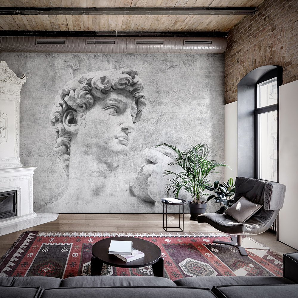 Фотообои и панно David 1_2 на сайте OboiVkus.by