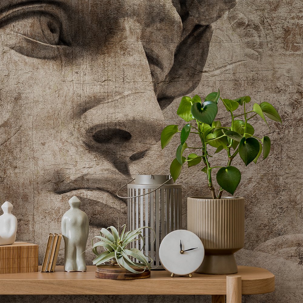 Фотообои и панно David 3_1 на сайте OboiVkus.by