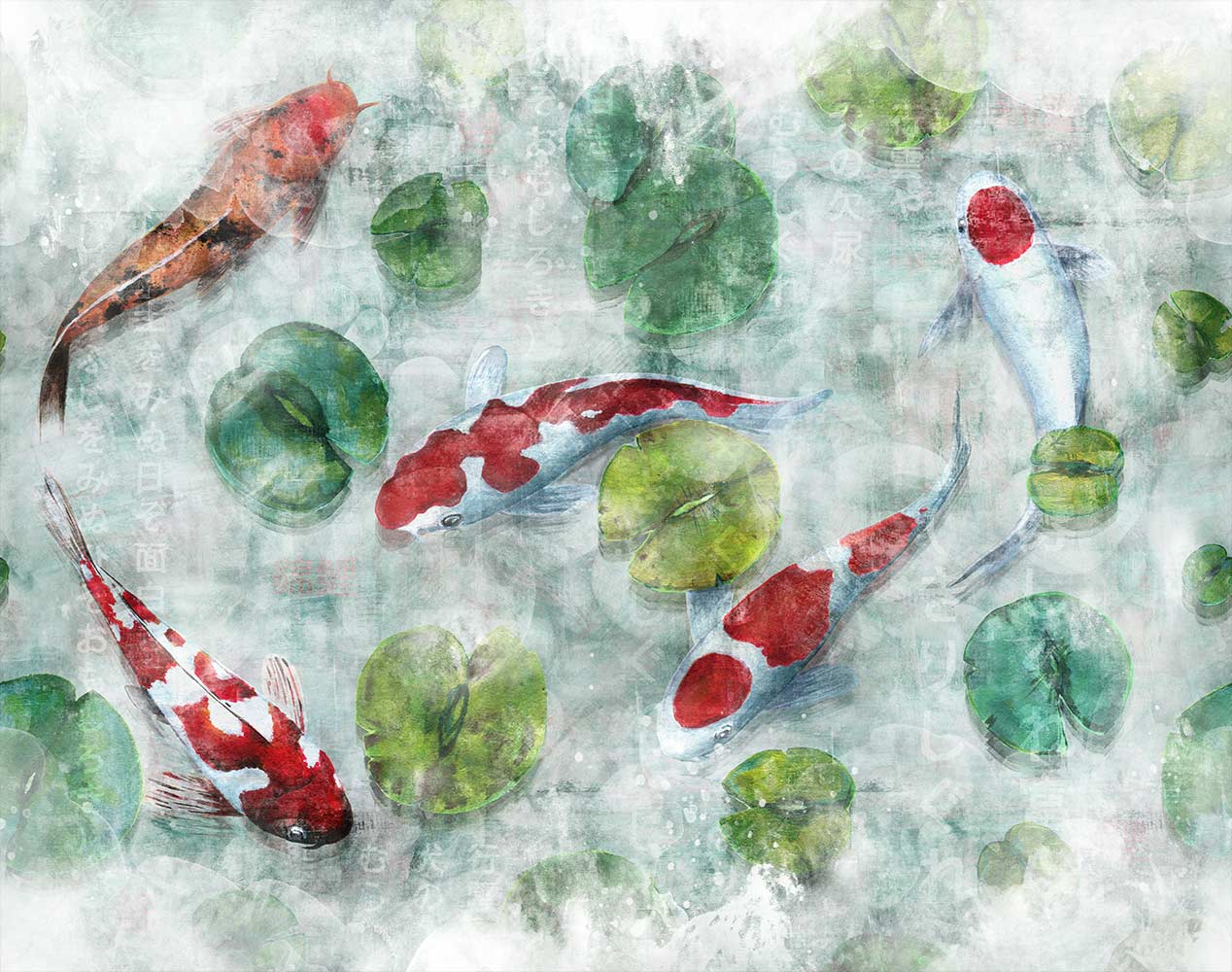 Koi 2