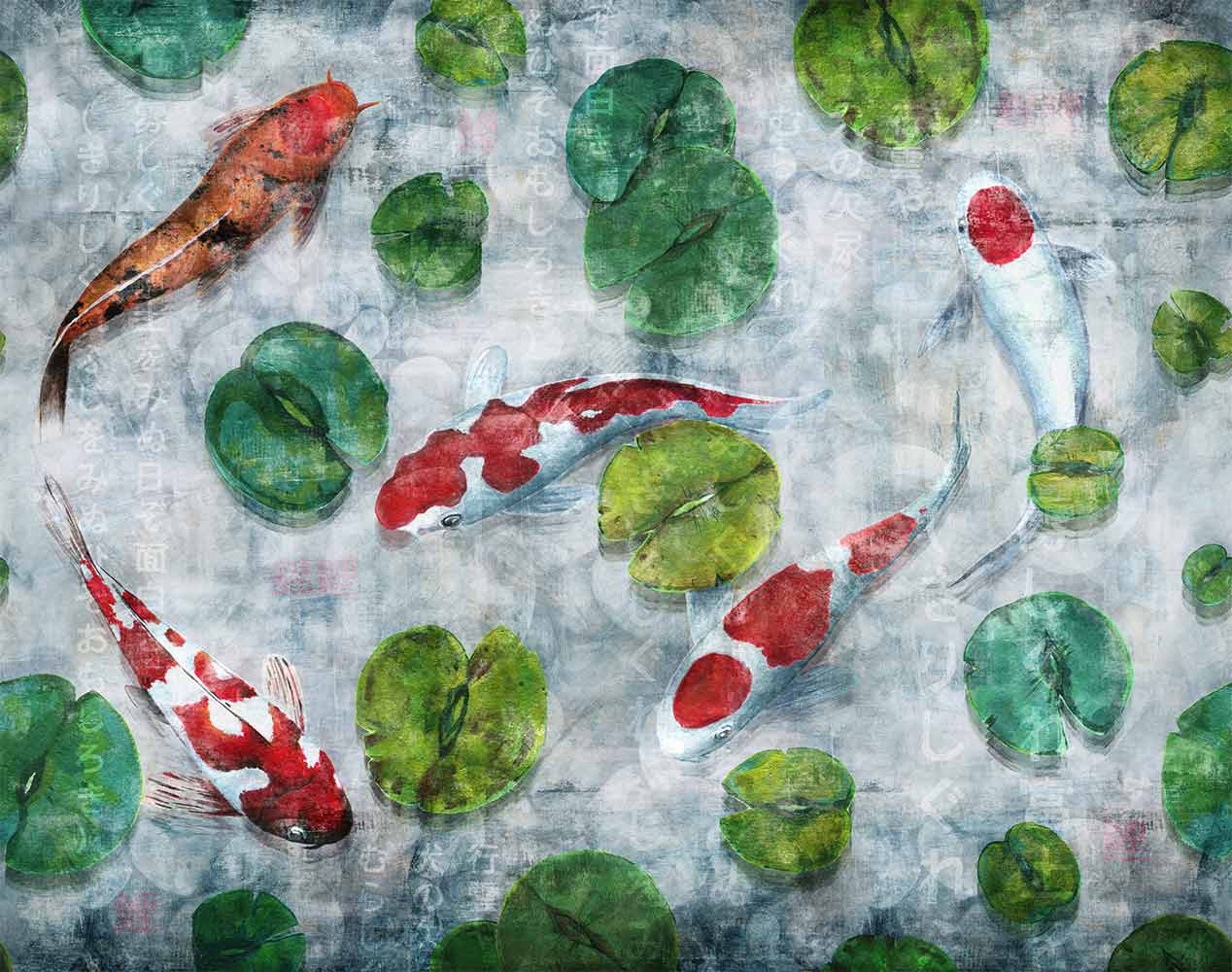 Koi 4
